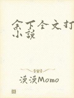 余下全文打不开小说