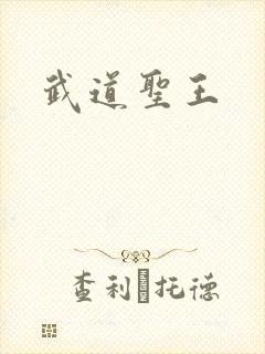 武道圣王