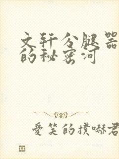 文轩分腿器河马的秘密河