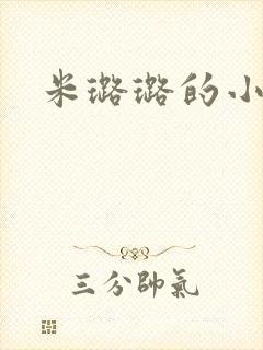 米璐璐的小说