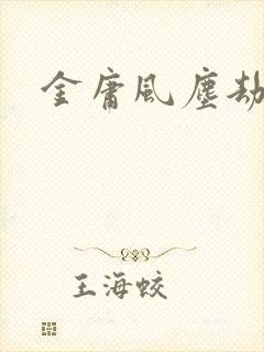 金庸风尘劫封面