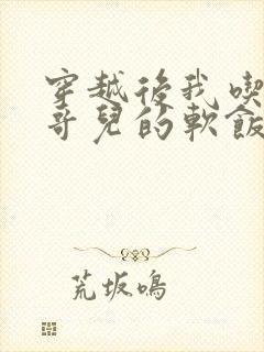 穿越后我吃到了哥儿的软饭炉山灰