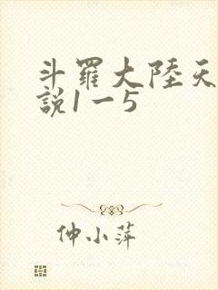 斗罗大陆天狂传说1一5
