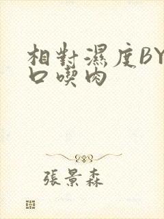 相对湿度BY大口吃肉