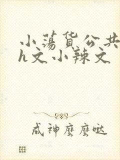 小荡货公共场所h文小辣文