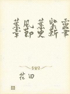 叶风叶紫灵最新章节更新笔趣阁封面