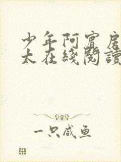 少年阿宾房东太太在线阅读封面