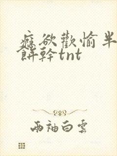 瘾欲欢愉半块小饼干tnt