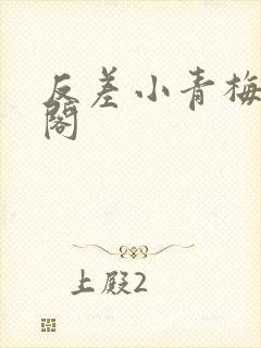 反差小青梅笔趣阁