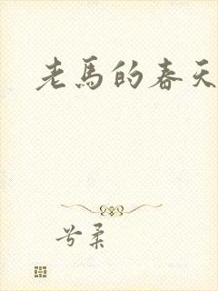 老马的春天敏静