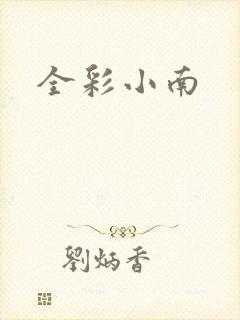 全彩小南封面