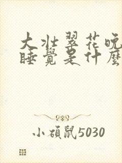 大壮翠花晚上不睡觉是什么电视剧
