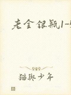 老金银瓶1-5