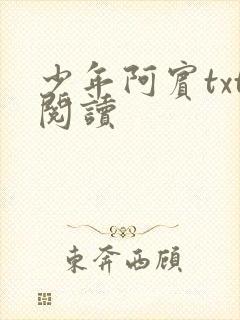 少年阿宾txt阅读封面