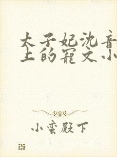 太子妃沈音和皇上的宠文小说