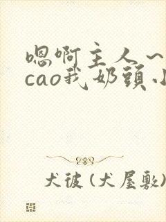 嗯啊主人～用力cao我奶头小说