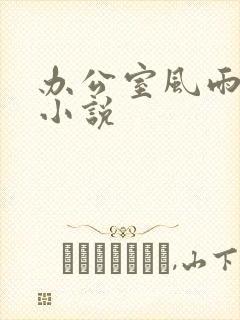 办公室风雨完整小说