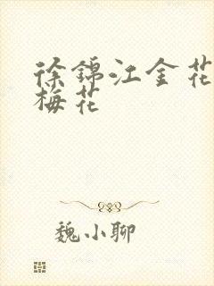 徐锦江金花瓶楷梅花封面