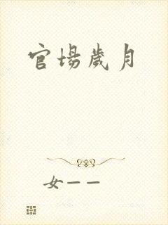官场岁月