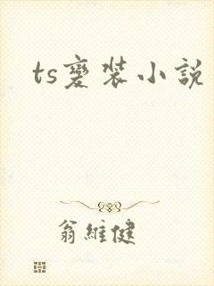 ts变装小说