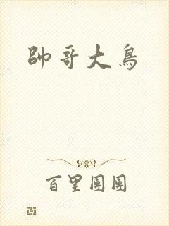 帅哥大鸟