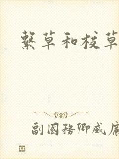 系草和校草封面