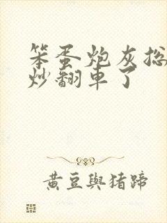 笨蛋炮灰总被爆炒翻车了