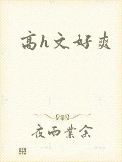 高h文好爽