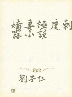 娇妻极度刺激暴露小说