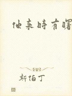 他来时有曙光封面