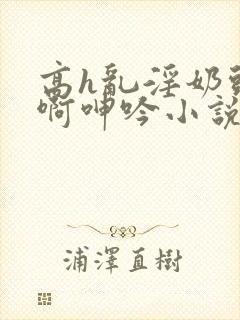 高h乱淫奶头嗯啊呻吟小说封面