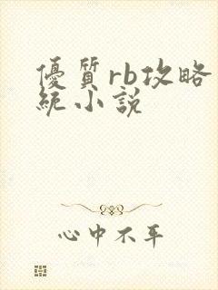 优质rb攻略系统小说