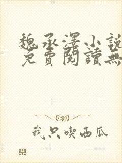 魏承泽小说全文免费阅读无弹窗笔趣