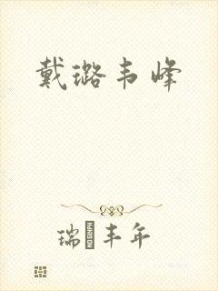 戴璐韦峰封面