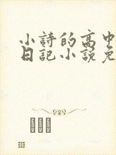 小诗的高中成长日记小说免费阅读