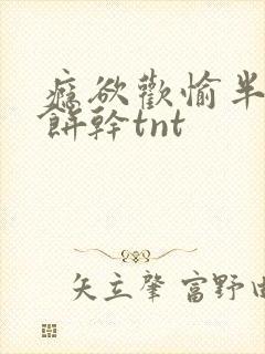 瘾欲欢愉半块小饼干tnt