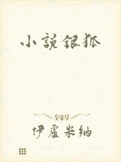 小说银狐