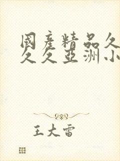 国产精品久久久久久亚洲小说