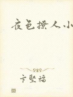 夜色撩人小说