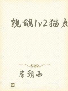 觊觎1v2猫丸封面