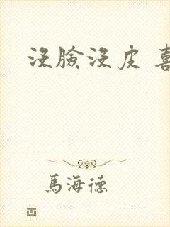 没脸没皮 喜了封面