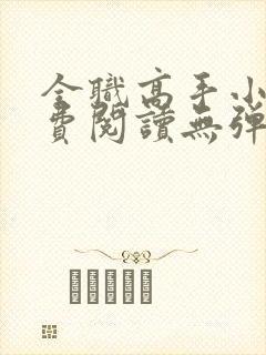 全职高手小说免费阅读无弹窗