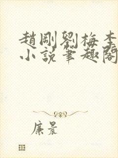 赵刚刘梅李晓雅小说笔趣阁