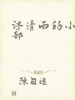 沐清雨的小说全部封面