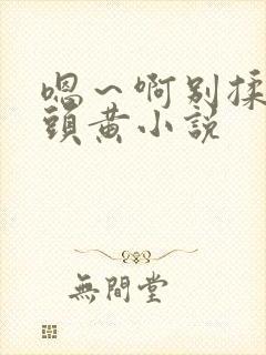 嗯～啊别揉我奶头黄小说封面