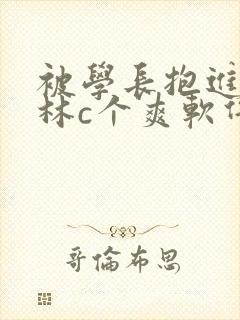 被学长抱进小树林c个爽软件