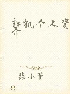 许凯个人资料简介封面