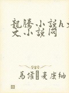 龙腾小说h文辣文小说网封面