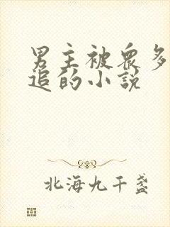 男主被众多女主追的小说