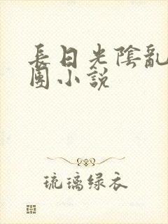 长日光阴乱作一团小说封面